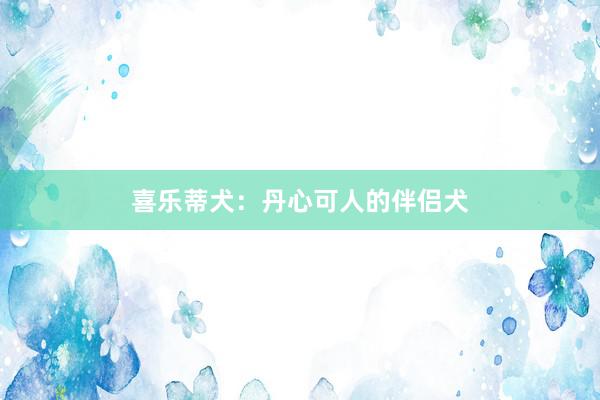 喜乐蒂犬：丹心可人的伴侣犬