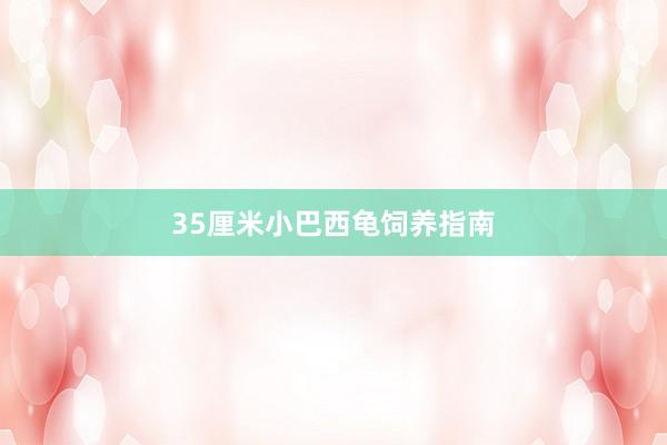 35厘米小巴西龟饲养指南