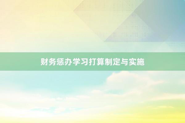 财务惩办学习打算制定与实施
